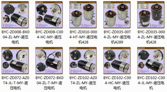 三類(lèi)車(chē)液壓電機(jī)